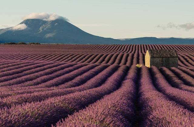 Getting-to-Lavender-Fields-from-Manosque