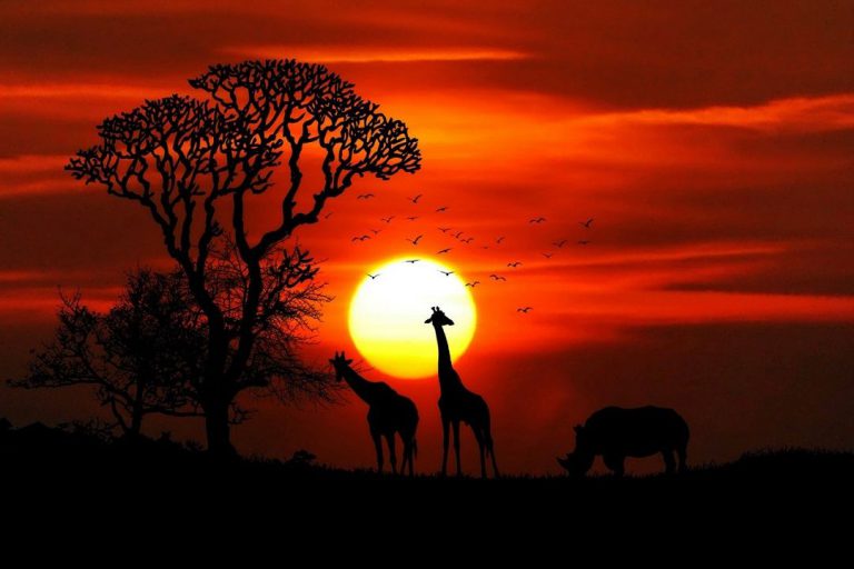 Top 10 Tourist Destinations In Africa NupeBaze