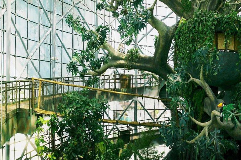 The Green Planet Biodome Dubai